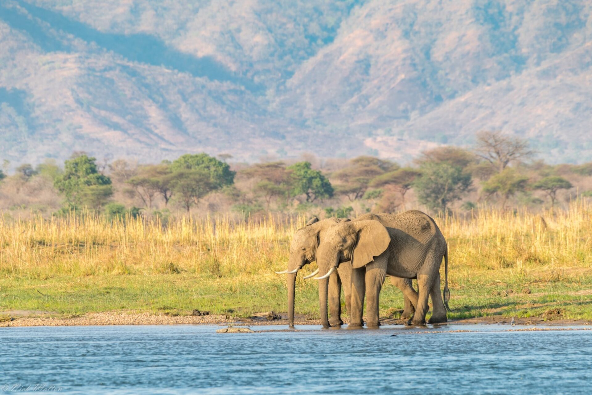 Nick Walton explores the spectacular landscapes of Botswana and Zimbabwe