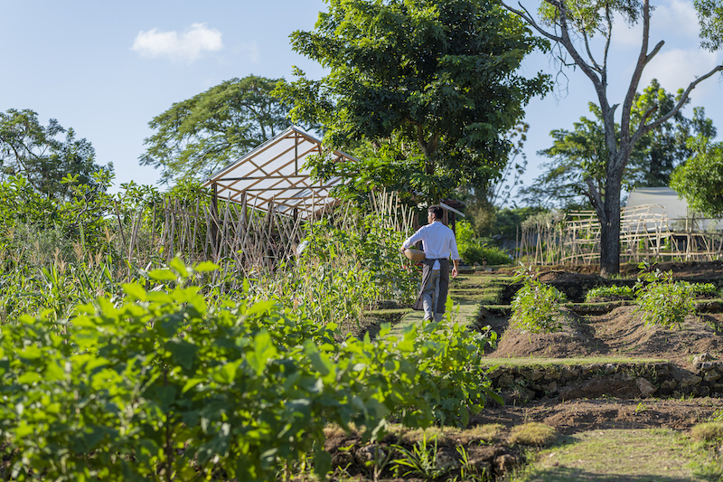 Reimagined Ayana Farm at Ayana Estate Reopens