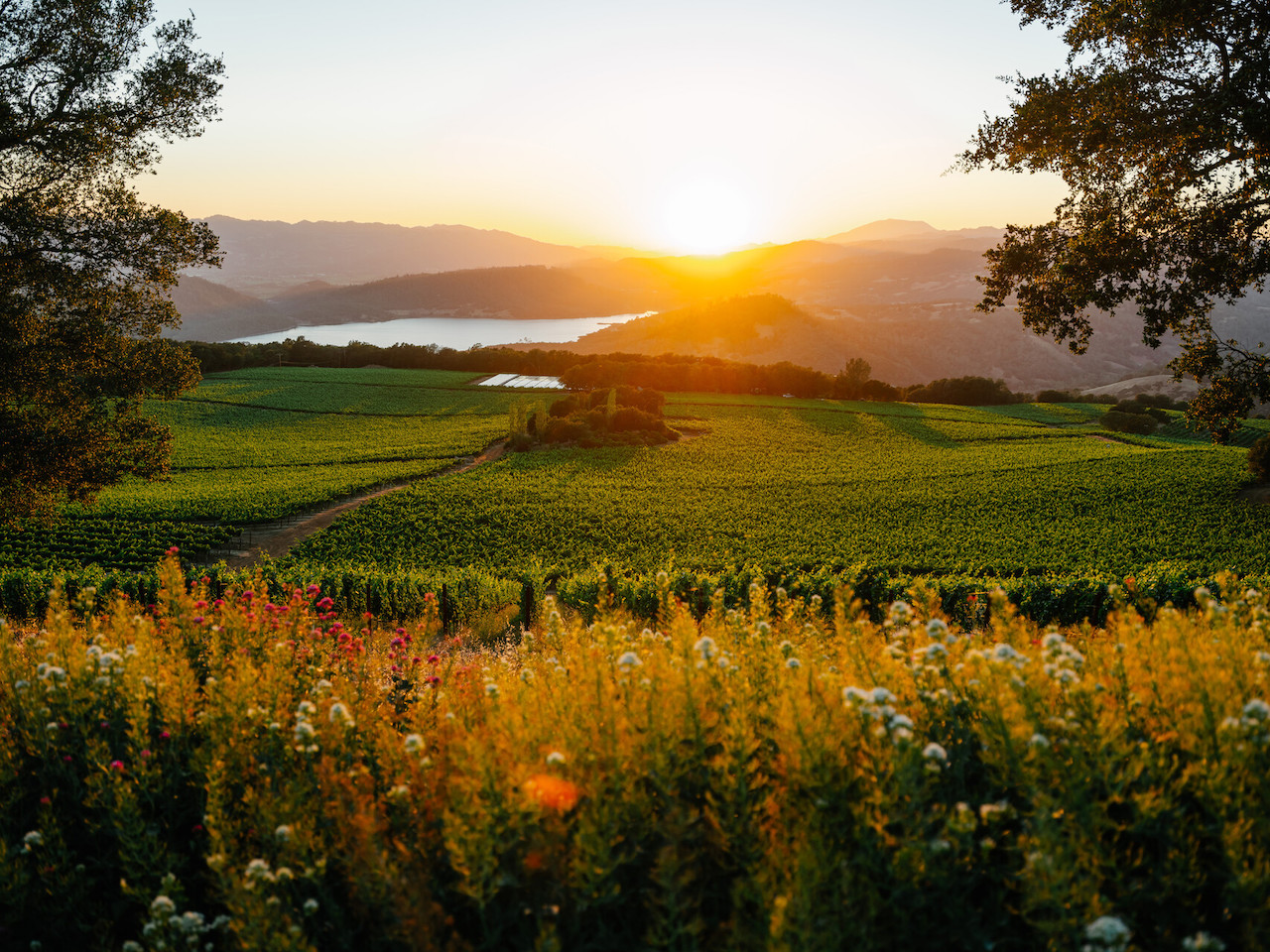 Four Seasons Drive Experience has created an indulgent new itinerary that showcases the beauty of Napa Valley in the fall. 