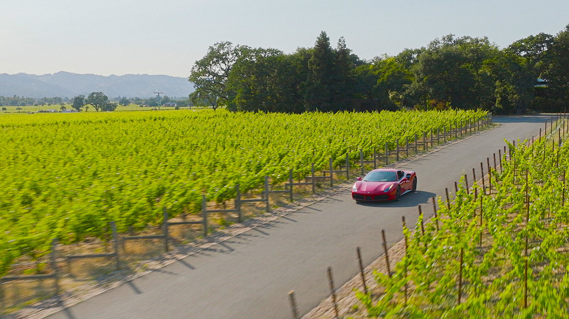 Time to Cruise the Napa Valley