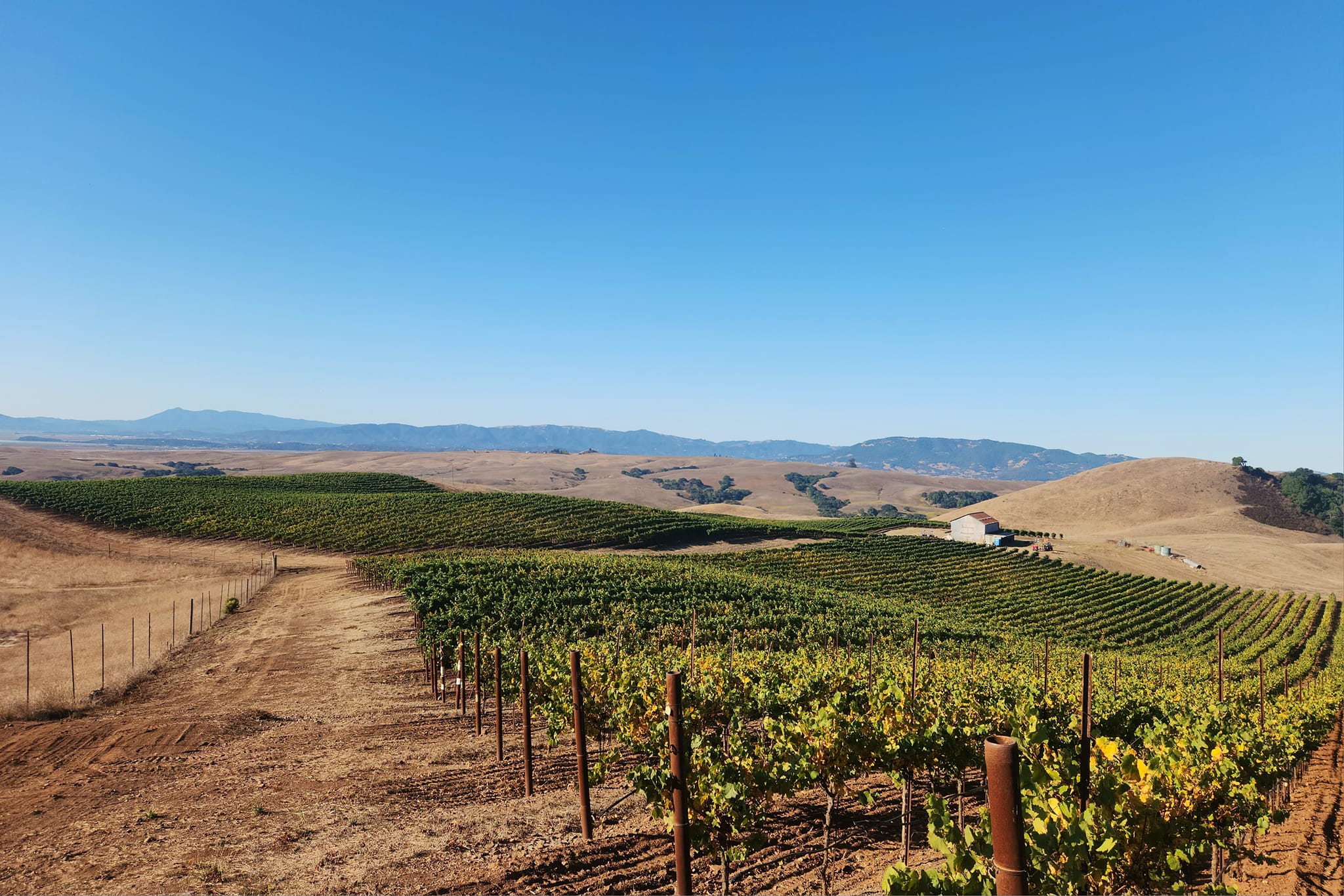 Head to Sonoma County for indulgent wellness experiences that range from yoga sessions set against picturesque vineyards to forest bathing and stargazing.