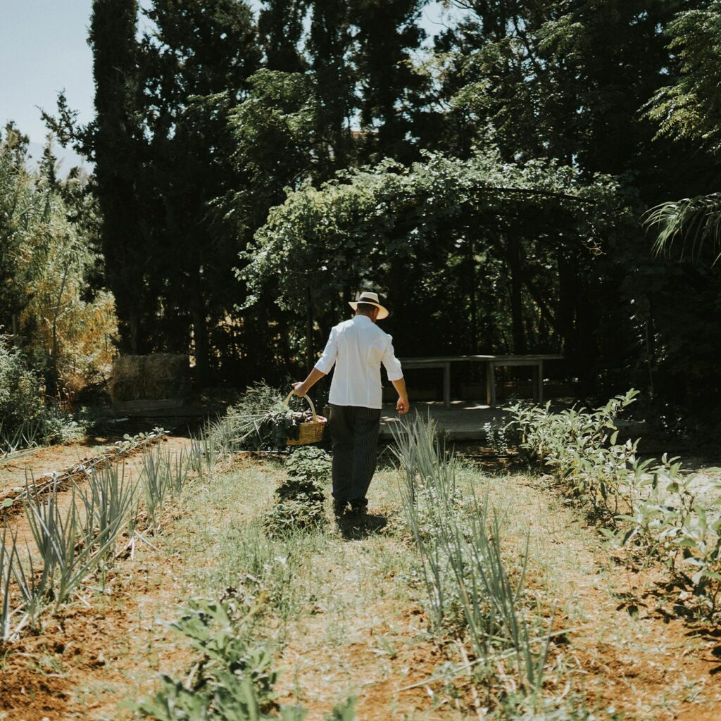 Around the world, leading boutique hotels and inspired chefs are taking the farm-to-table concept to exciting new levels. 