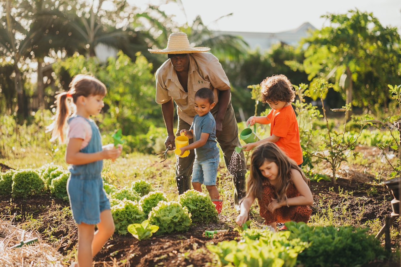 Heritage Resorts & Golf in Bel Ombre, Mauritius, has created a new Family & Kids programme that encourages children to learn about nature.