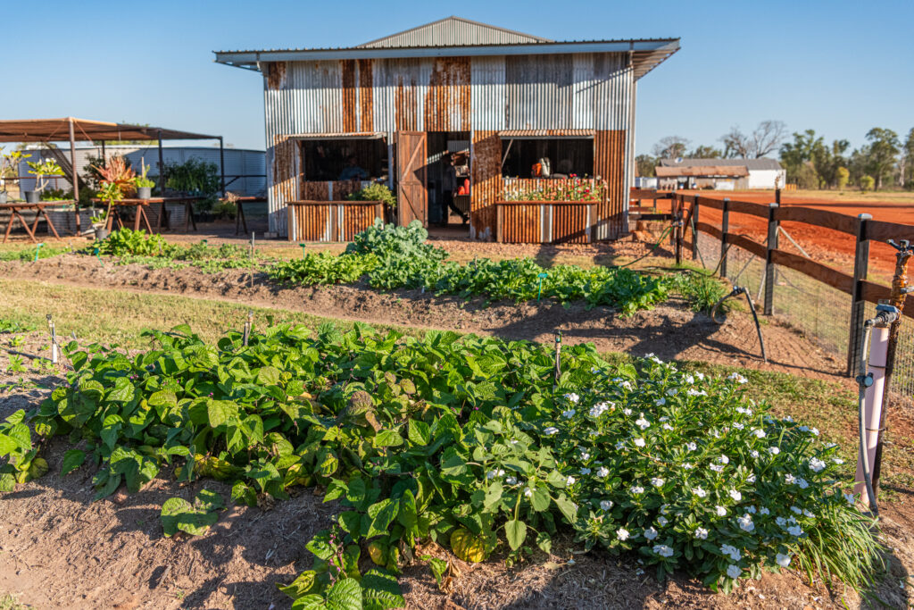 Bullo River Station garden