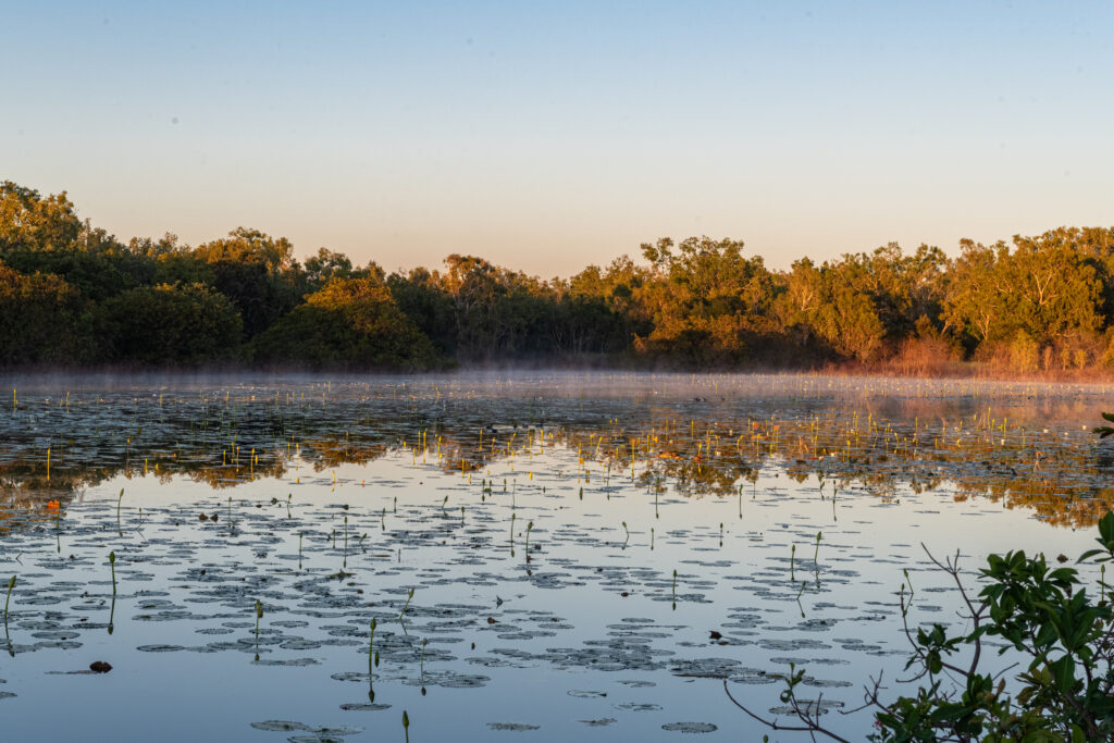 Bullo River Station wetlands