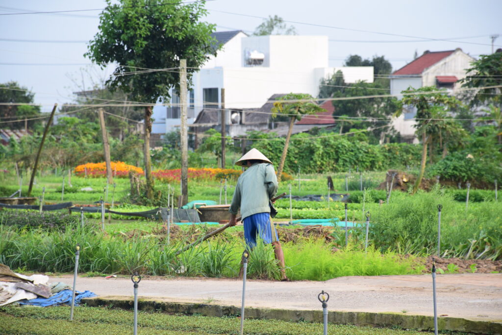 man tilling field in Vietnam
