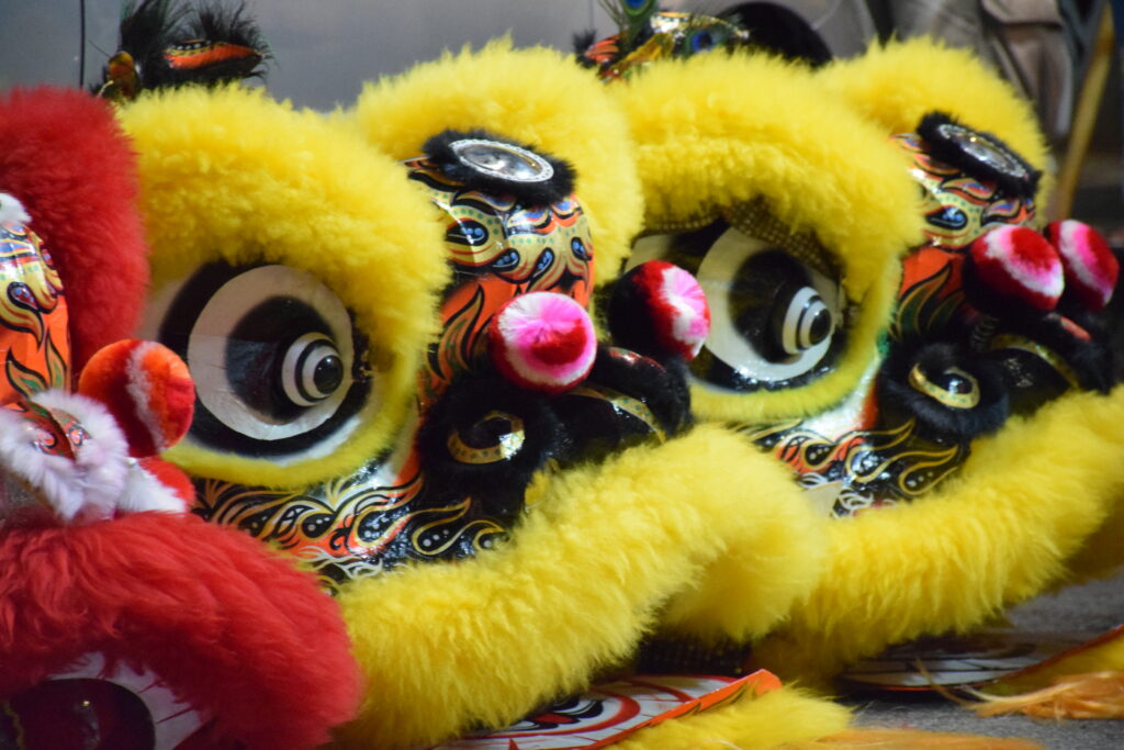 Chinese new year lion