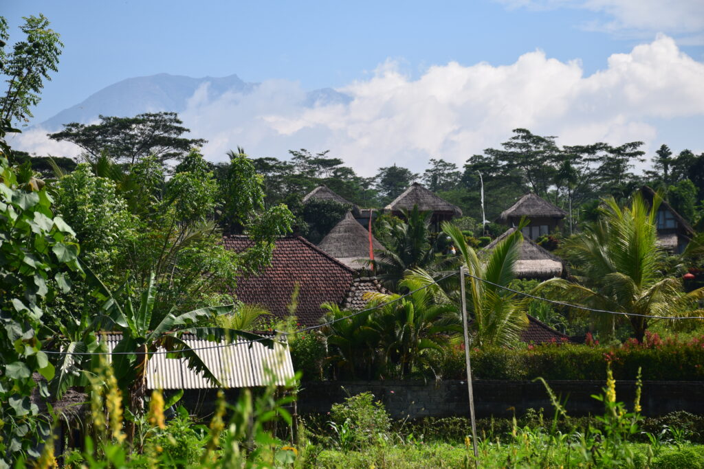Bali houses in lush greenery