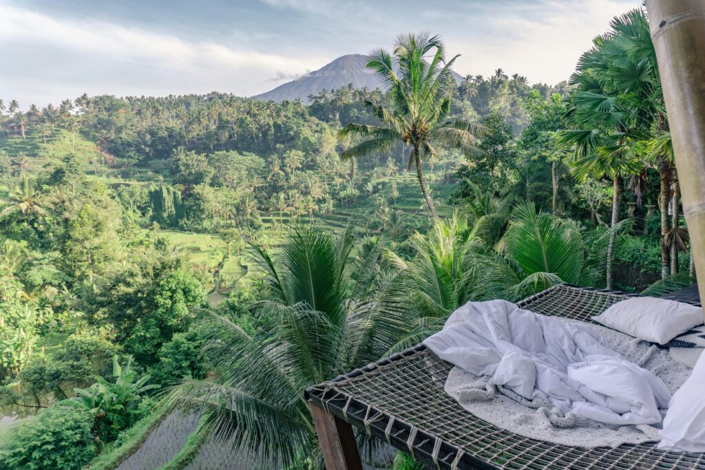 Ubud rice terraces
