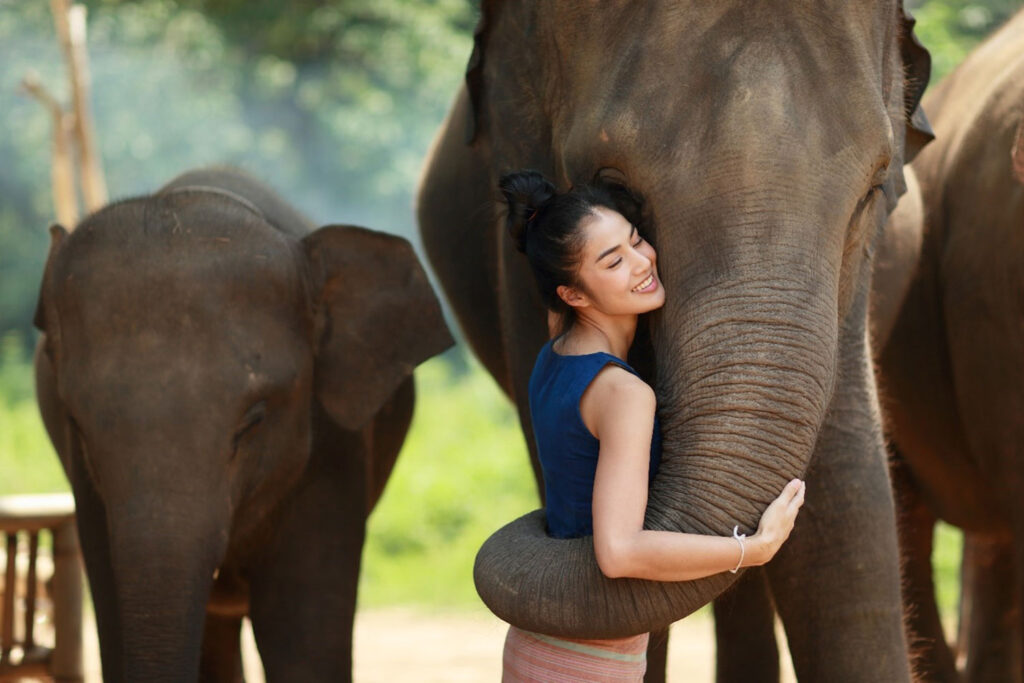 Phuket Elephant Sanctuary