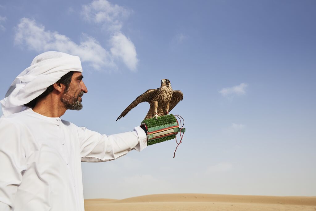 Dubai Desert falconry