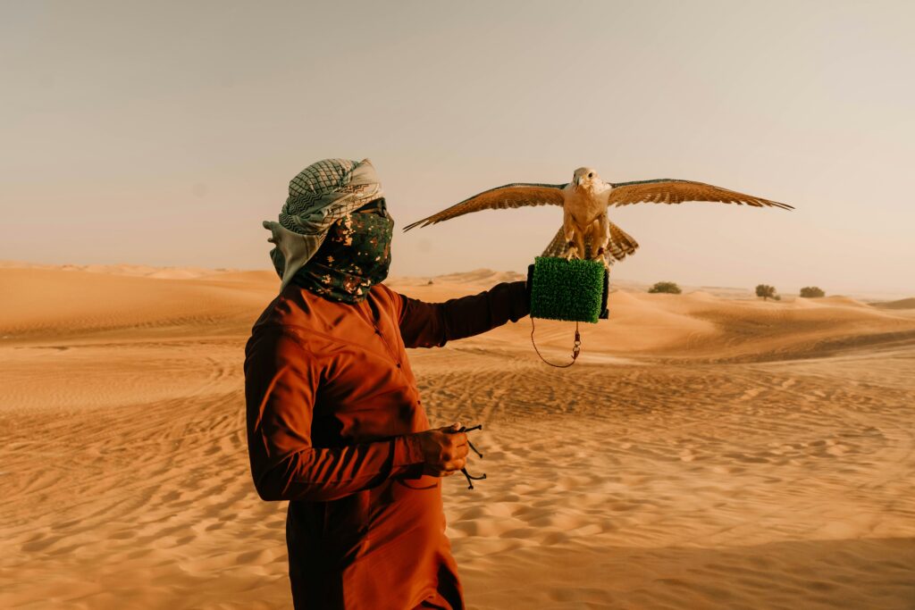 desert safari falconry Dubai