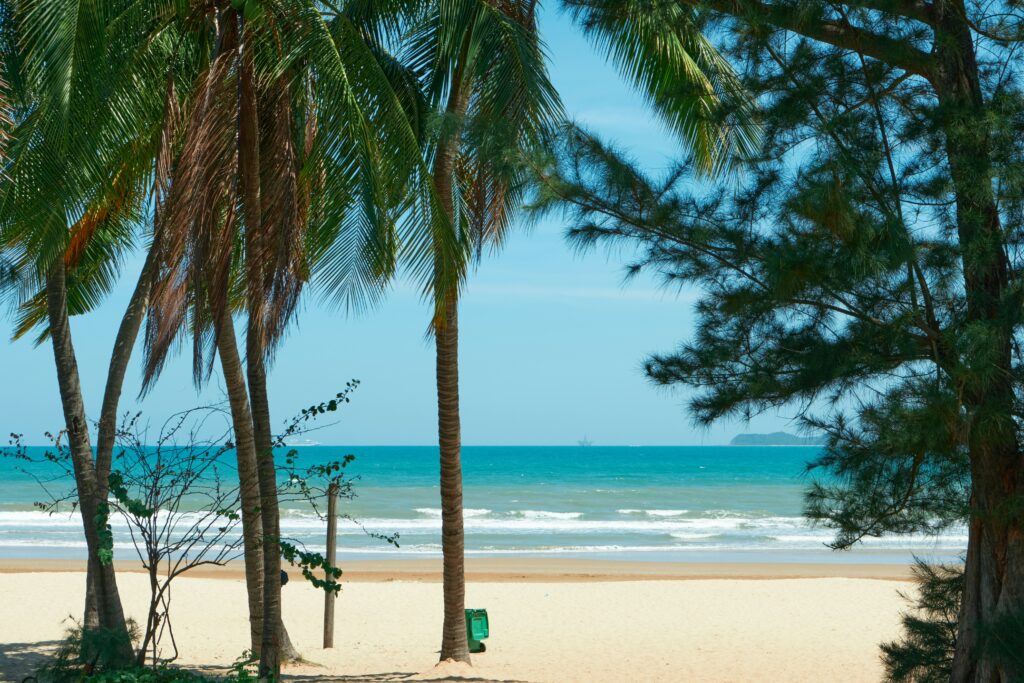 Sanya Beach with palm trees