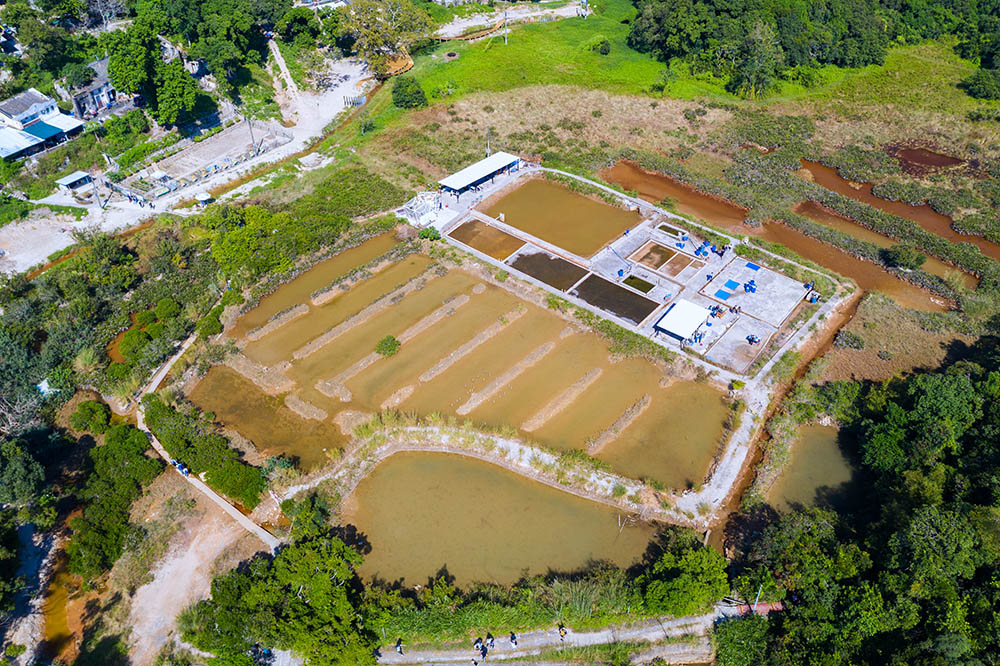 Yin Tin Tsai village