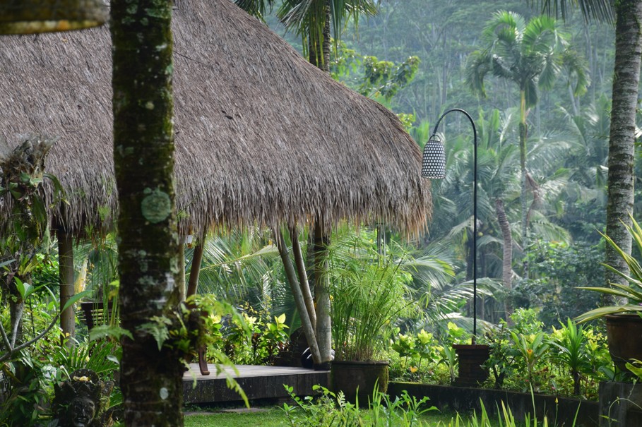 A wellness retreat in Bali