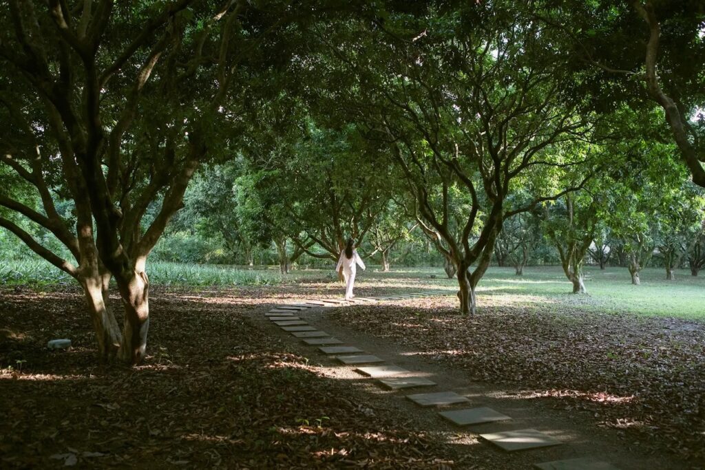 Six Senses Vana forest