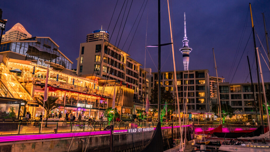 Viaduct Harbour at night