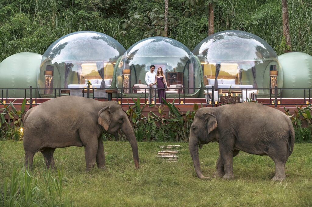 Anantara Elephant Camp