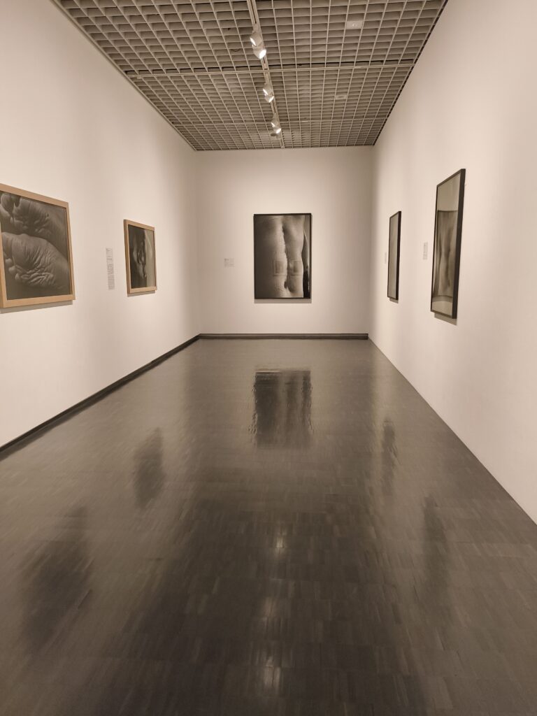 National Museum of Modern Art Tokyo exhibits